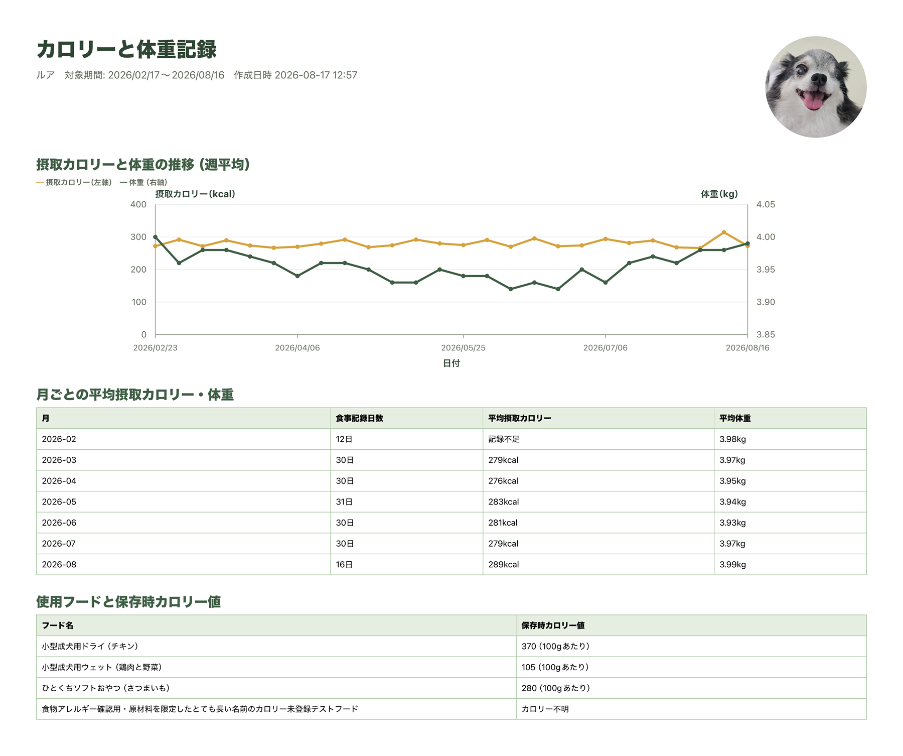 完成したカロリーと体重記録の見本